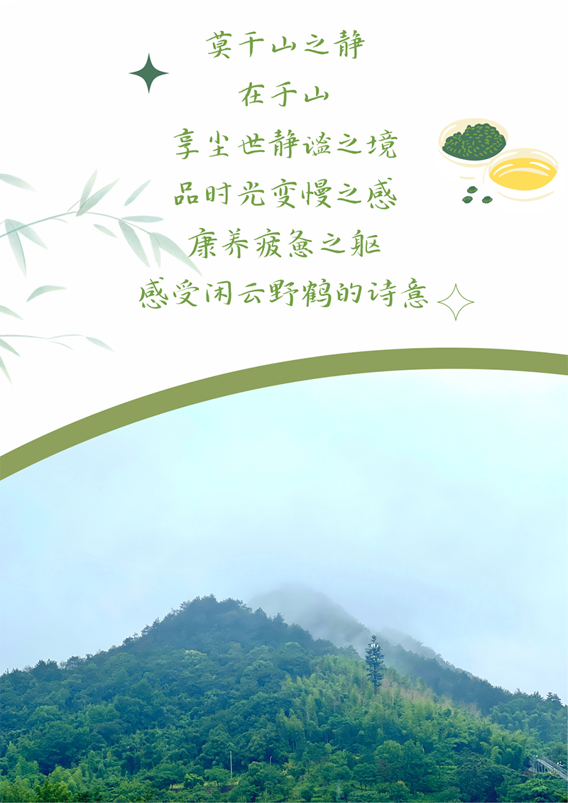 心心念廿 相伴东森 | 与德清相约 贺廿载诞辰