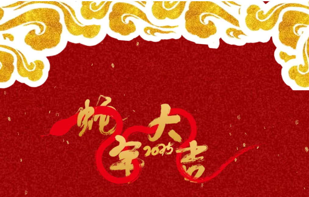 锐意突破 新征启程 | 东森股份2025年会盛典顺利召开